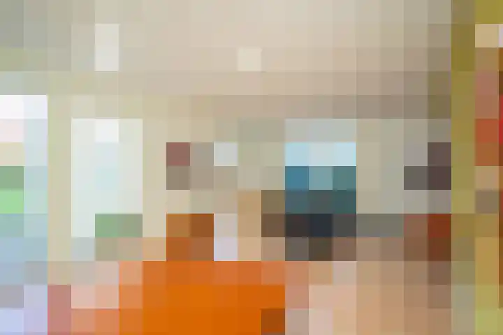 Hollewal 38 Den Burg thumbnail 17