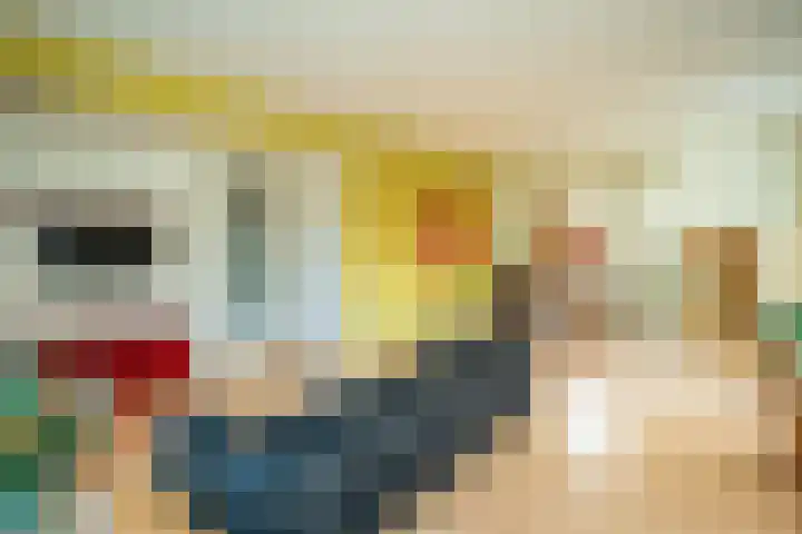 Hollewal 38 Den Burg thumbnail 18