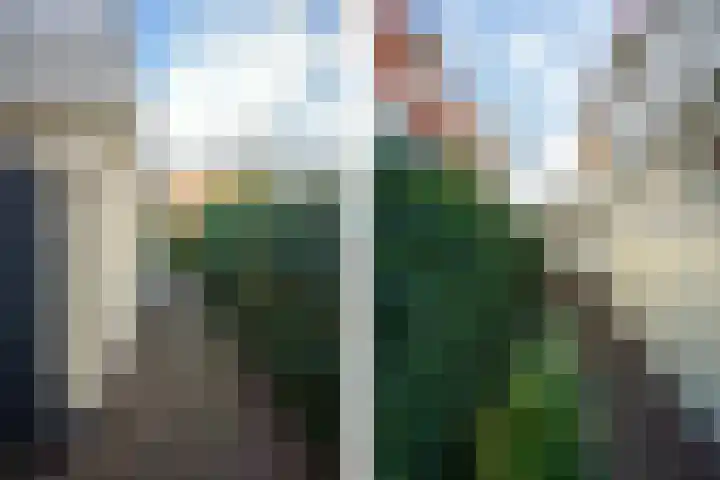 Hollewal 38 Den Burg thumbnail 23