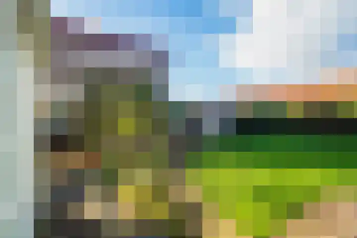 Hollewal 38 Den Burg thumbnail 24