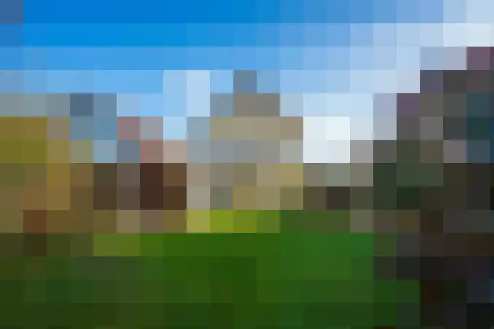 Hollewal 38 Den Burg thumbnail 25