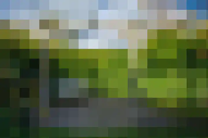 Hollewal 38 Den Burg thumbnail 26