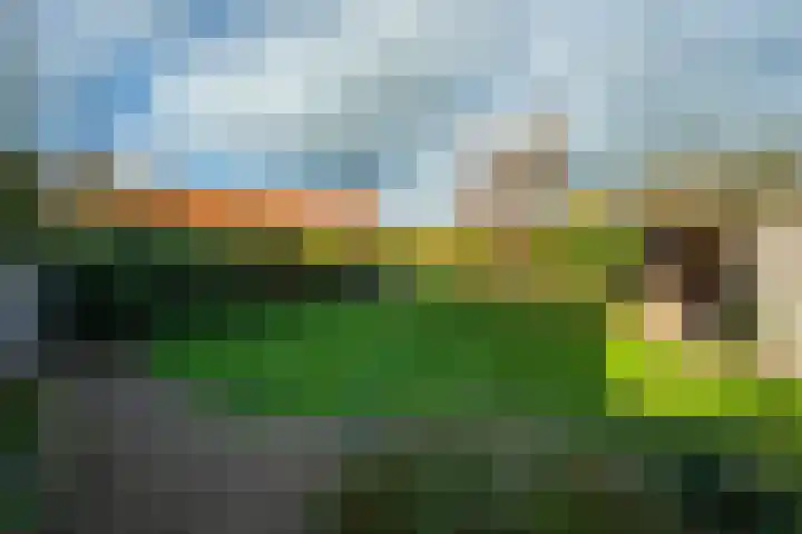 Hollewal 38 Den Burg thumbnail 30