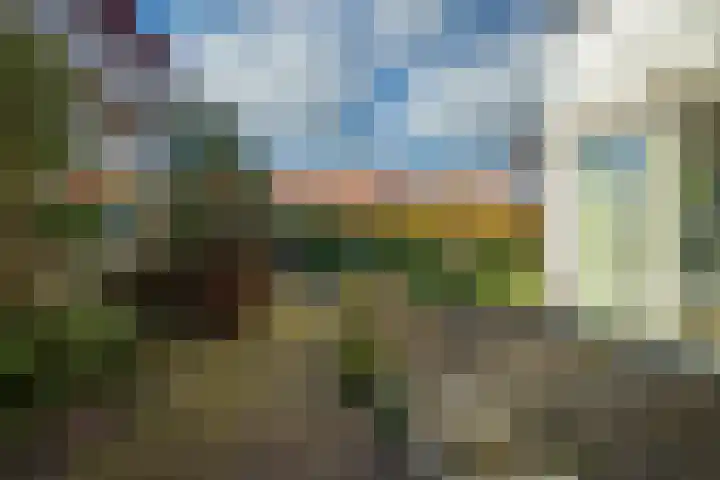 Hollewal 38 Den Burg thumbnail 31