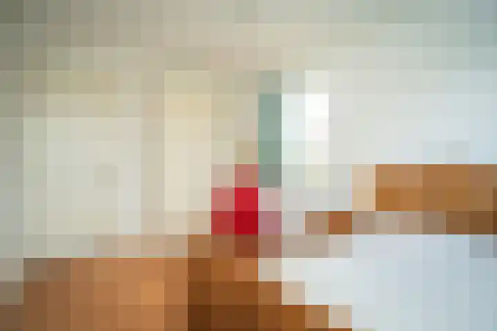 Hollewal 38 Den Burg thumbnail 34