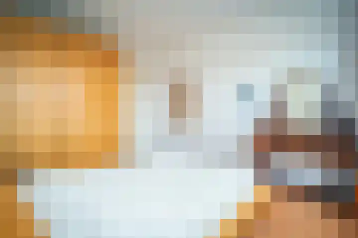 Hollewal 38 Den Burg thumbnail 38