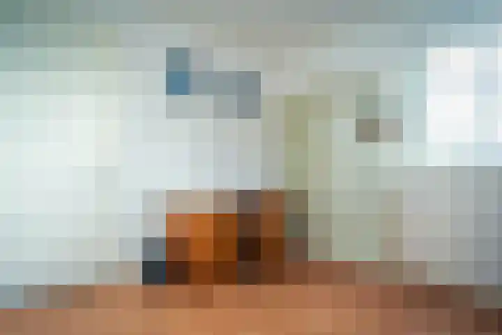Hollewal 38 Den Burg thumbnail 40