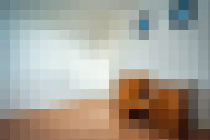 Hollewal 38 Den Burg thumbnail 41