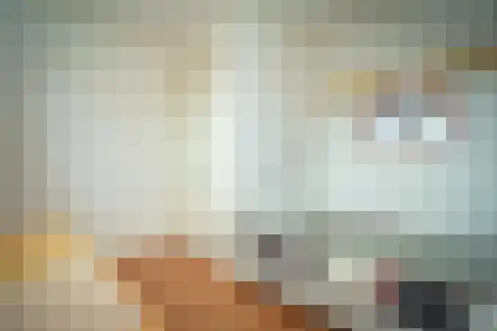 Hollewal 38 Den Burg thumbnail 43