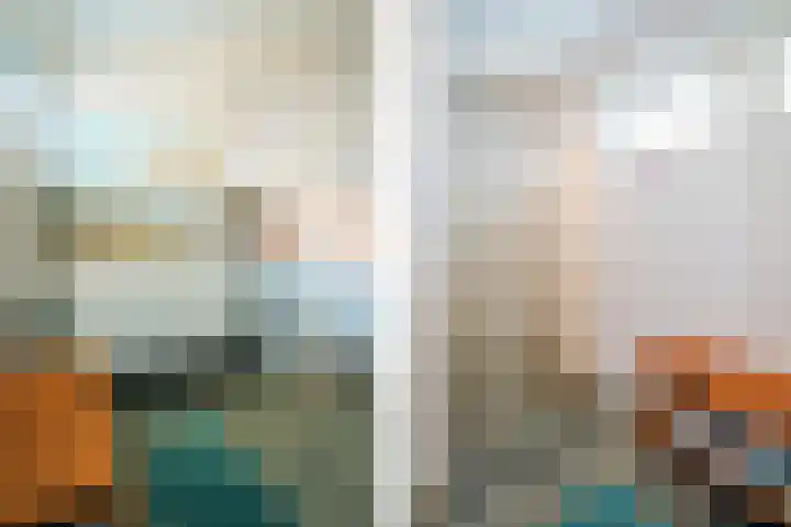 Hollewal 38 Den Burg thumbnail 46