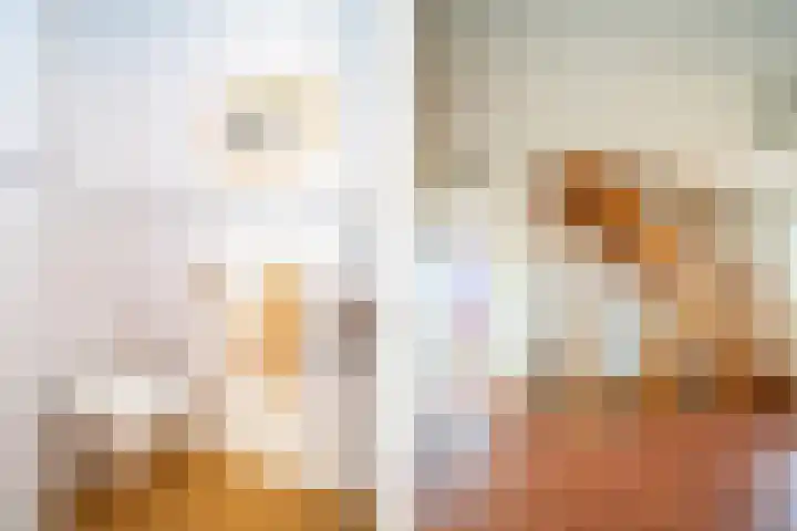 Hollewal 38 Den Burg thumbnail 47