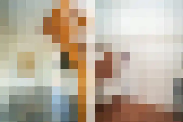 Hollewal 38 Den Burg thumbnail 5