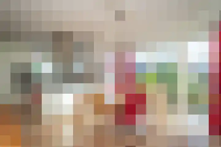 Hollewal 38 Den Burg thumbnail 6