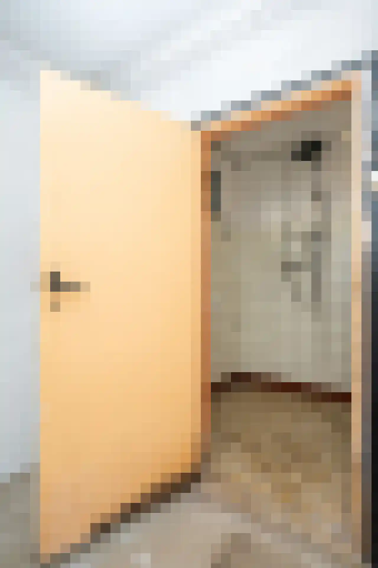 Hollewal 5 Den Burg thumbnail 14