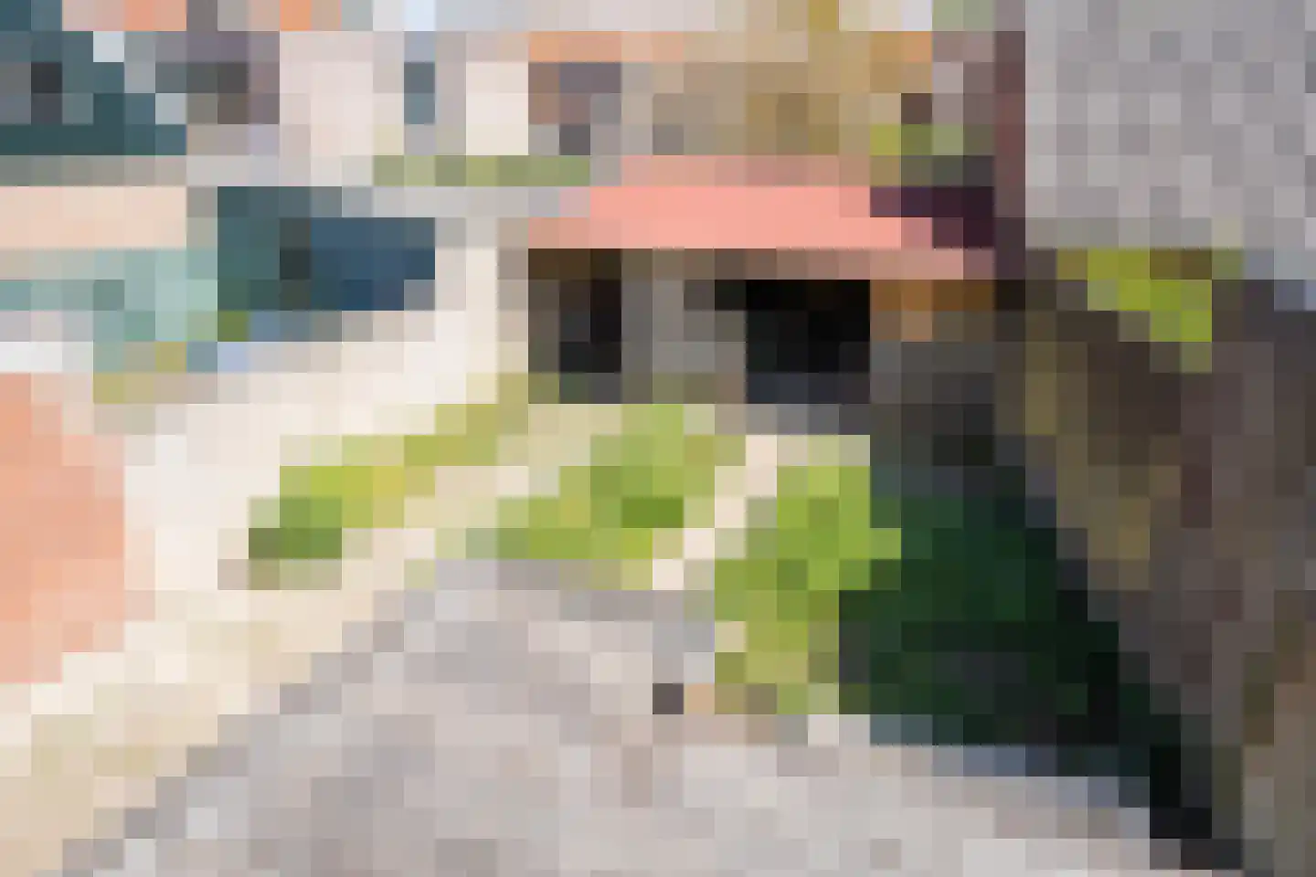 Hollewal 5 Den Burg thumbnail 22