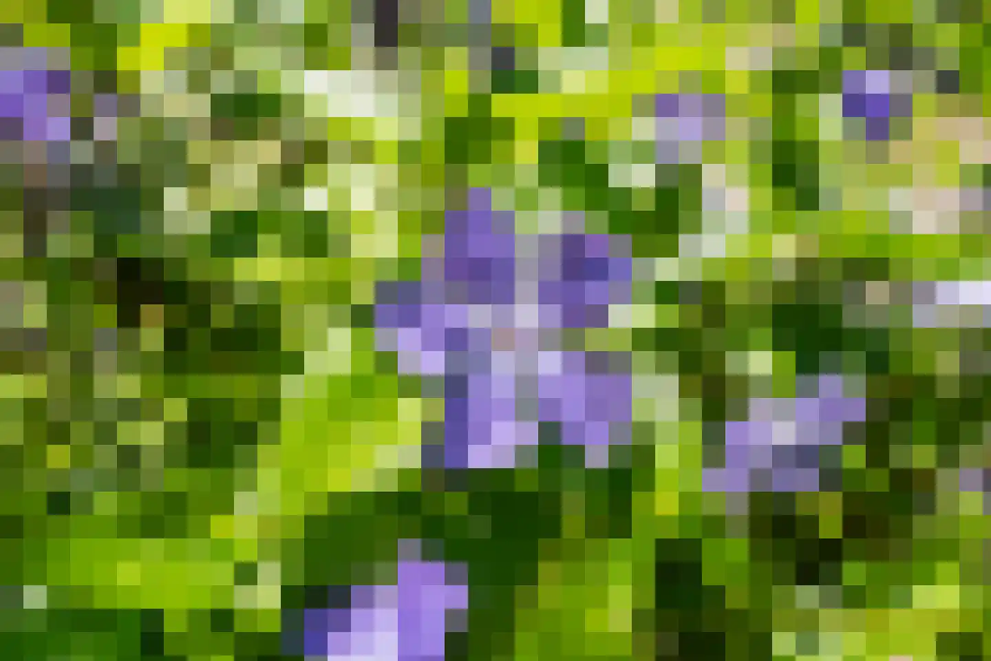 Hollewal 5 Den Burg thumbnail 32