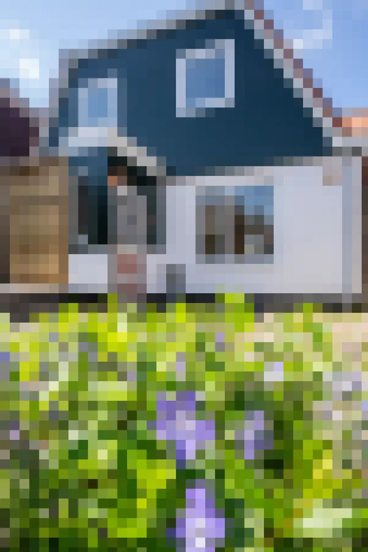 Hollewal 5 Den Burg thumbnail 33