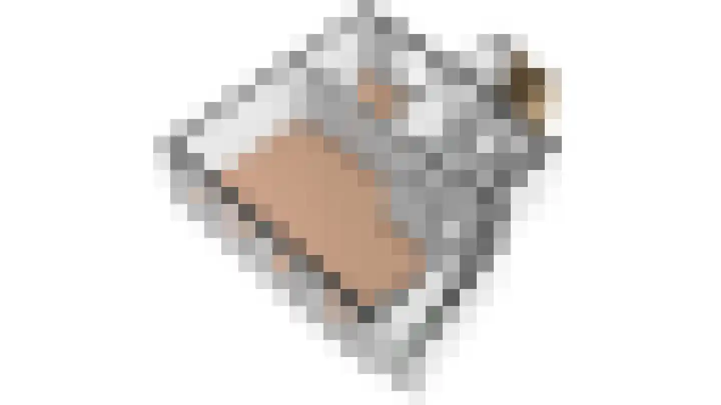 Hollewal 5 Den Burg thumbnail 42