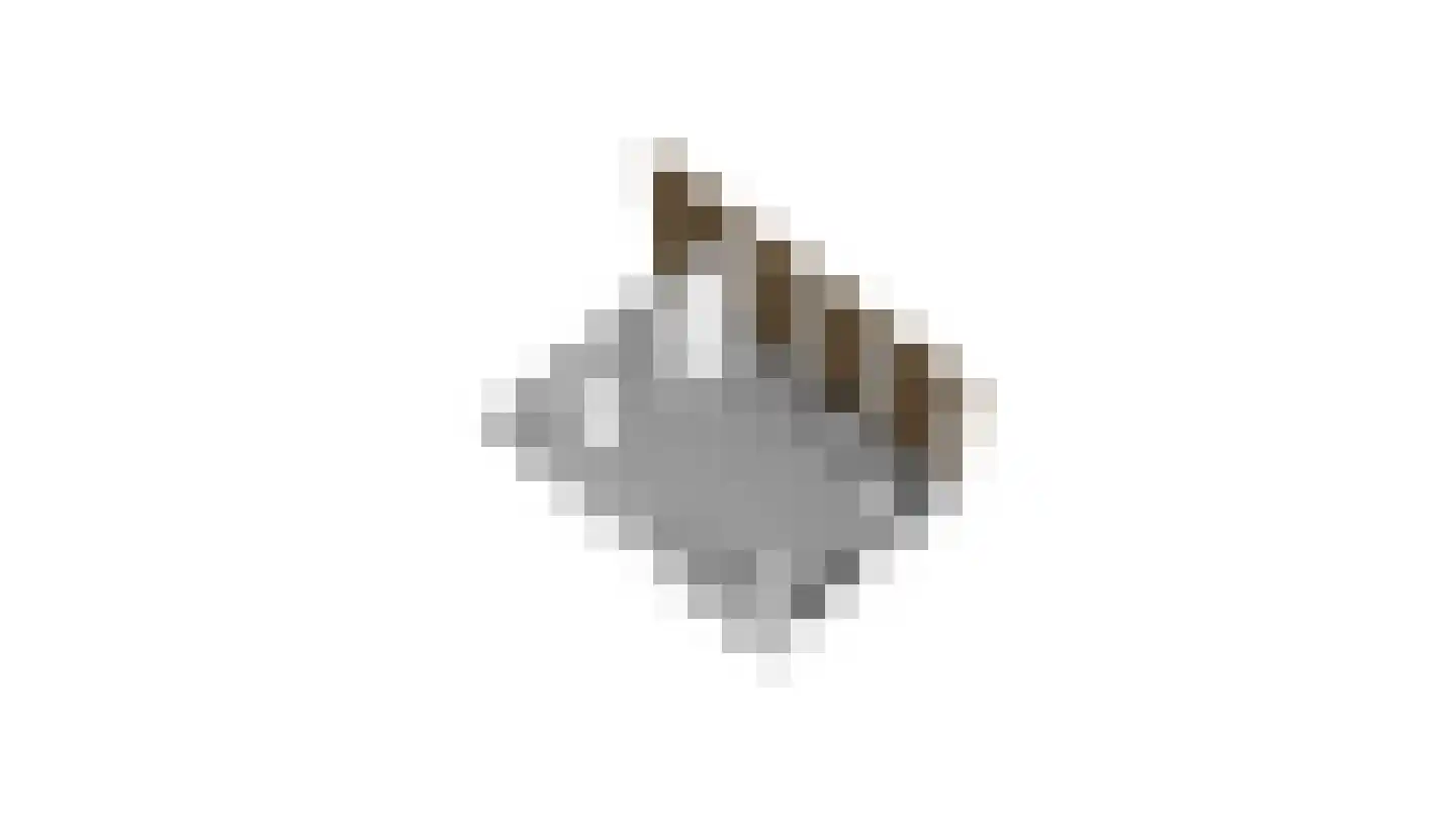 Hollewal 5 Den Burg thumbnail 44