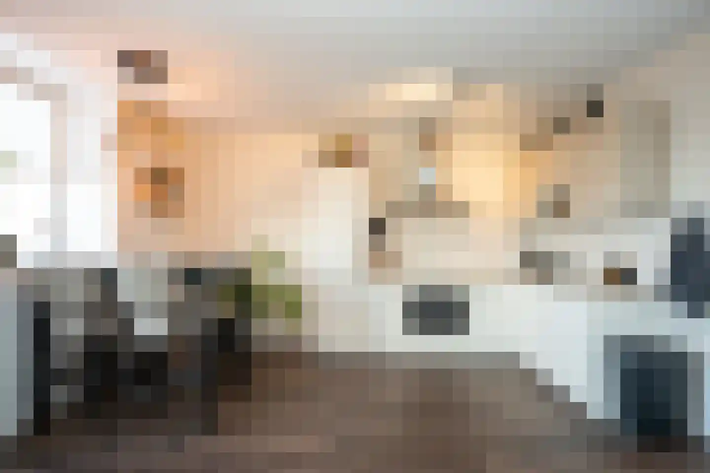 Hollewal 73 Den Burg thumbnail 11