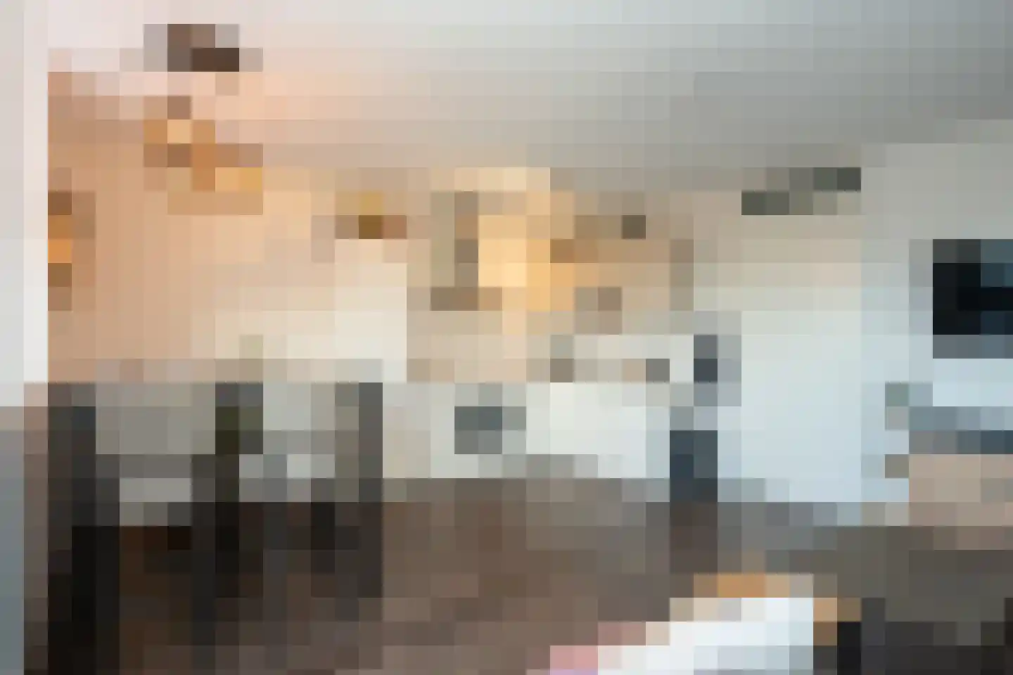 Hollewal 73 Den Burg thumbnail 12
