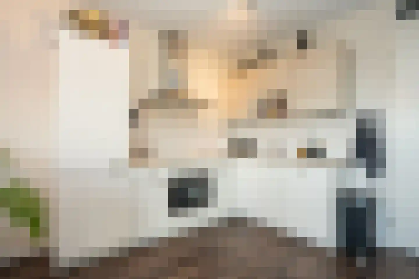 Hollewal 73 Den Burg thumbnail 14