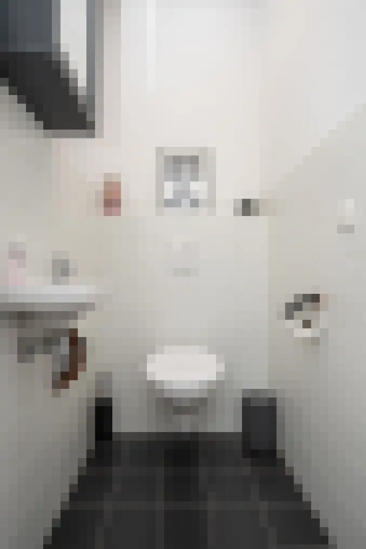 Hollewal 73 Den Burg thumbnail 20