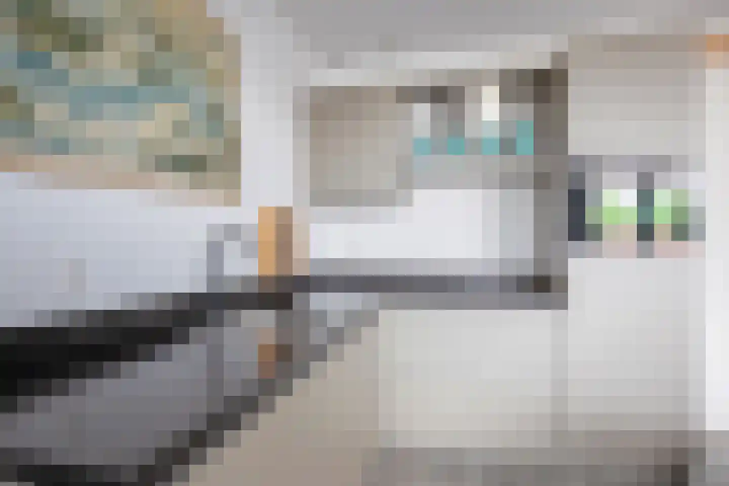 Hollewal 97 Den Burg thumbnail 14