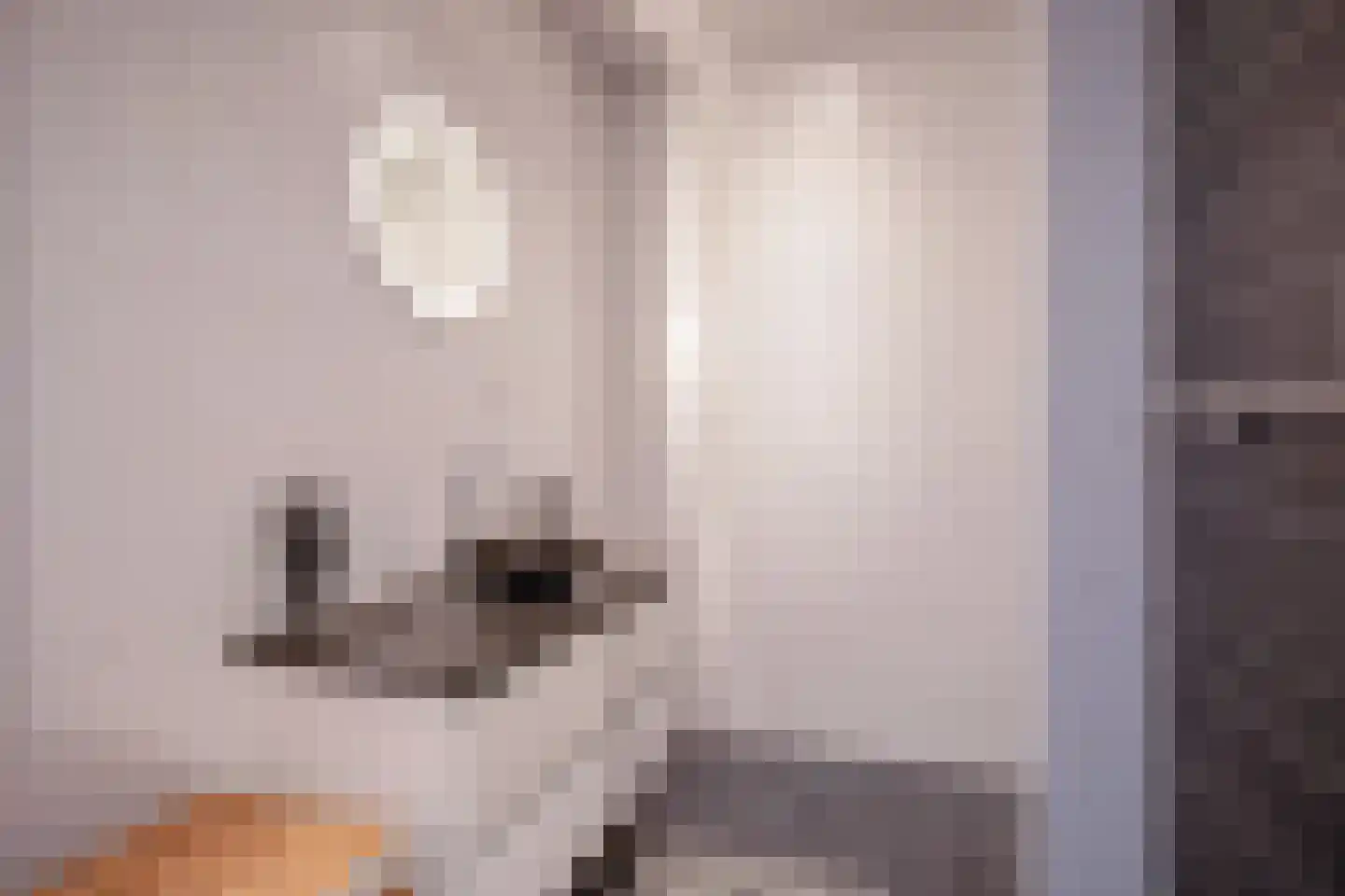 Hollewal 97 Den Burg thumbnail 19