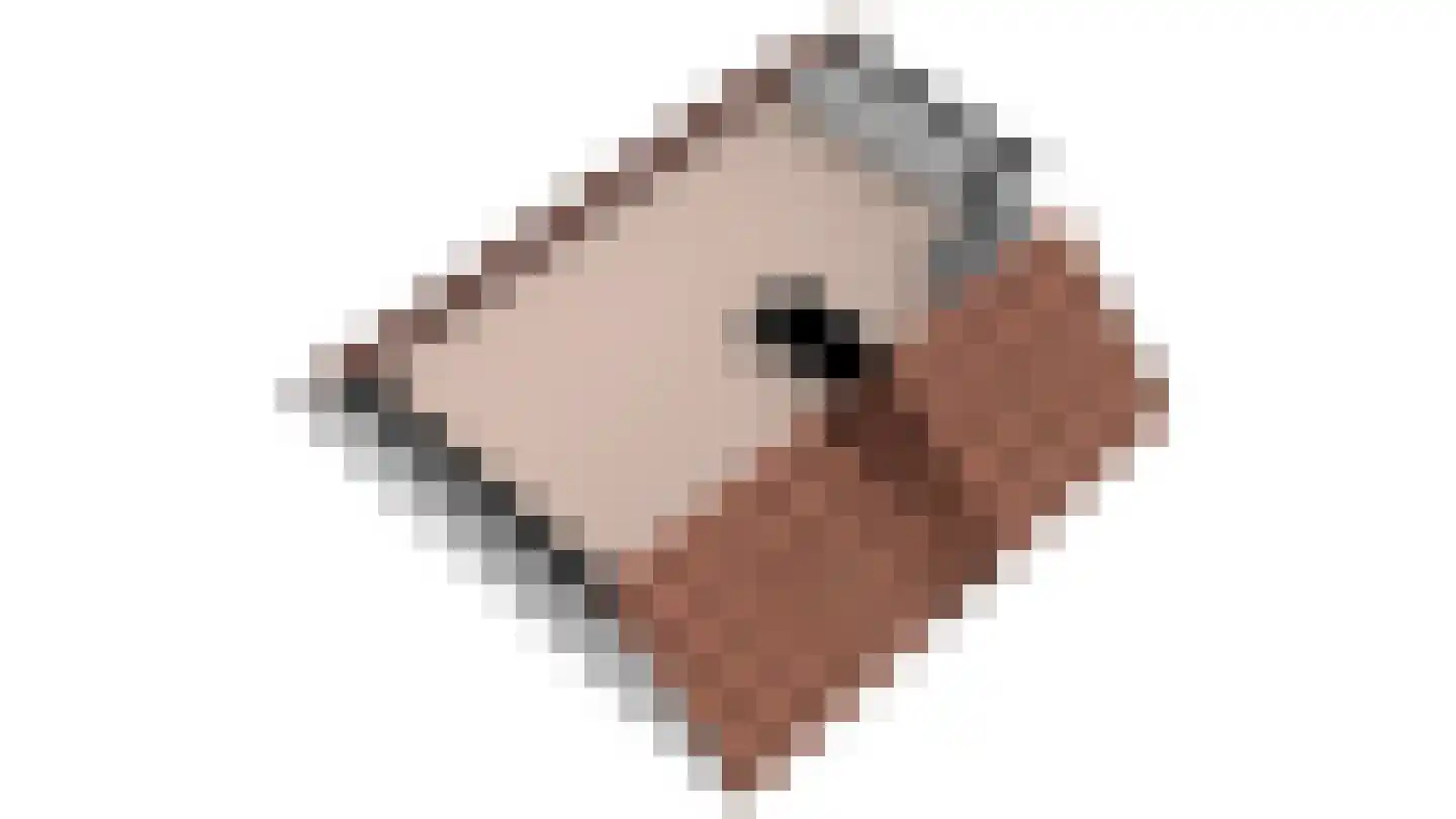 Hollewal 97 Den Burg thumbnail 30