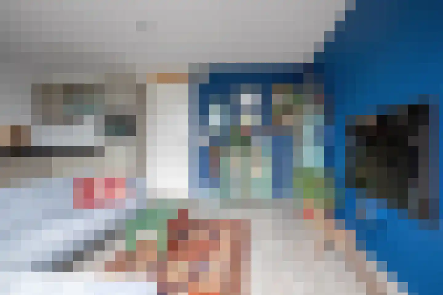 Hollewal 97 Den Burg thumbnail 9