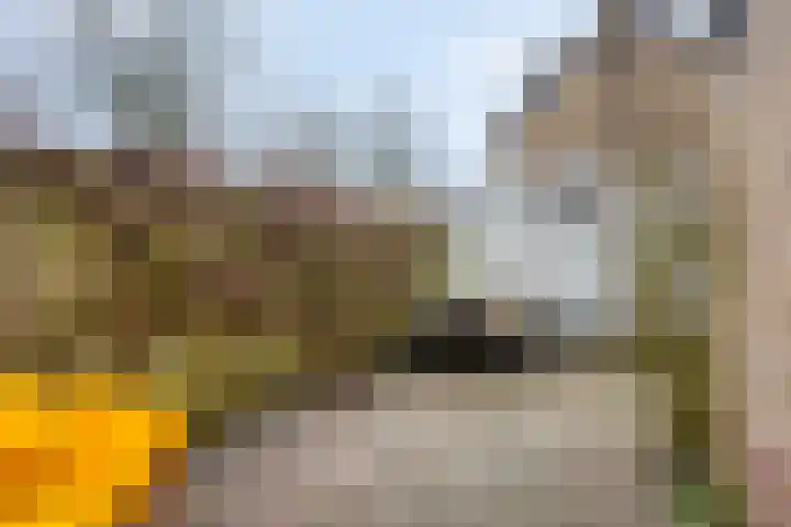 Hollewand 41 Hattem thumbnail 33