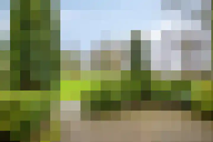 Hollewand 41 Hattem thumbnail 39