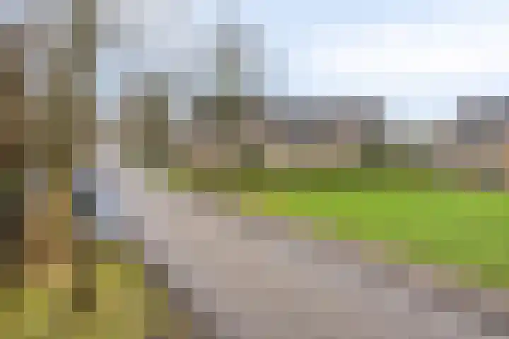 Hollewand 41 Hattem thumbnail 45