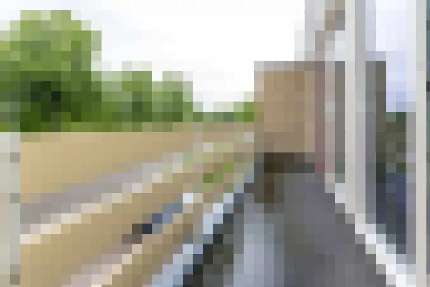 Hollewand 83 Hattem thumbnail 24