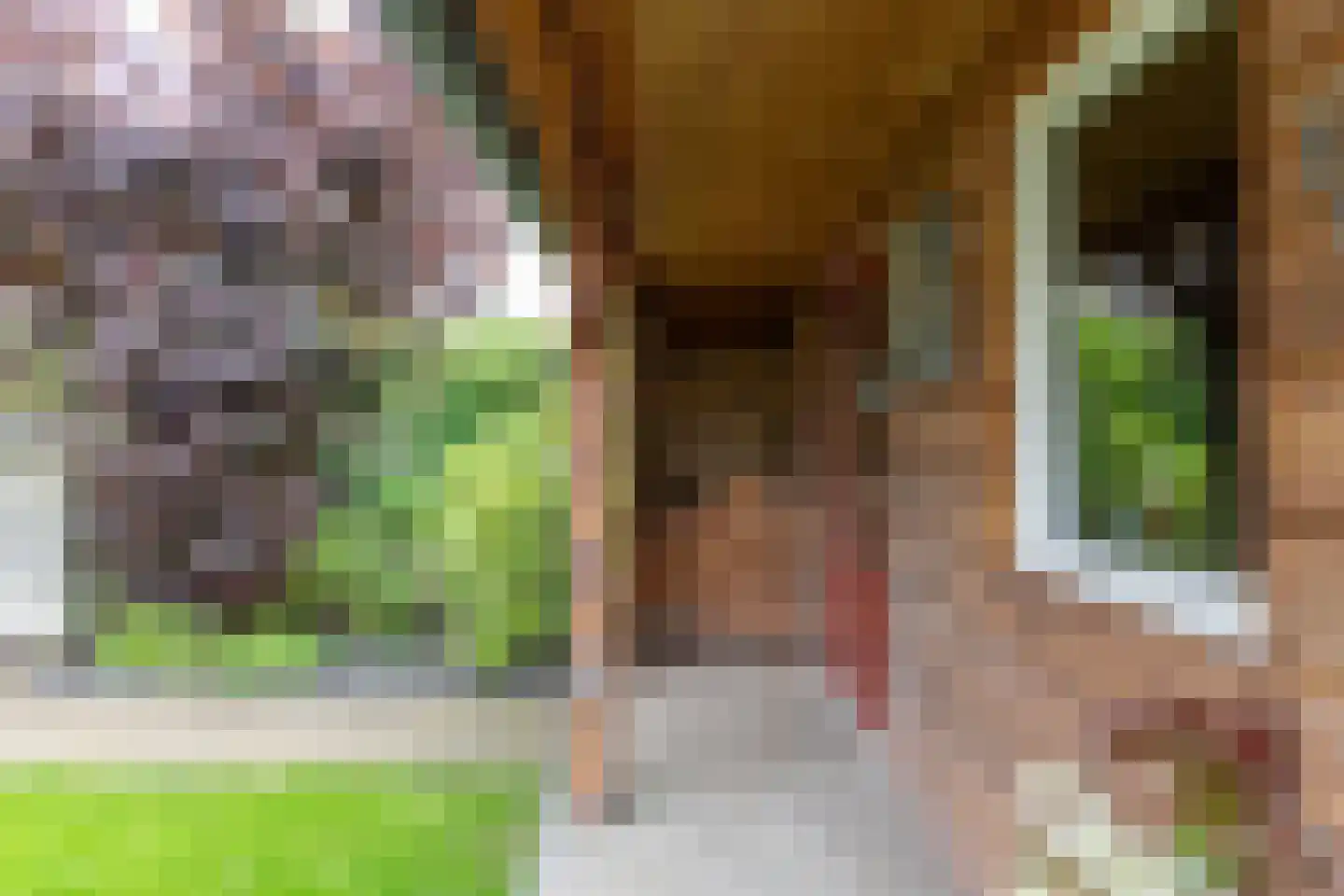 Hollewand 83 Hattem thumbnail 42
