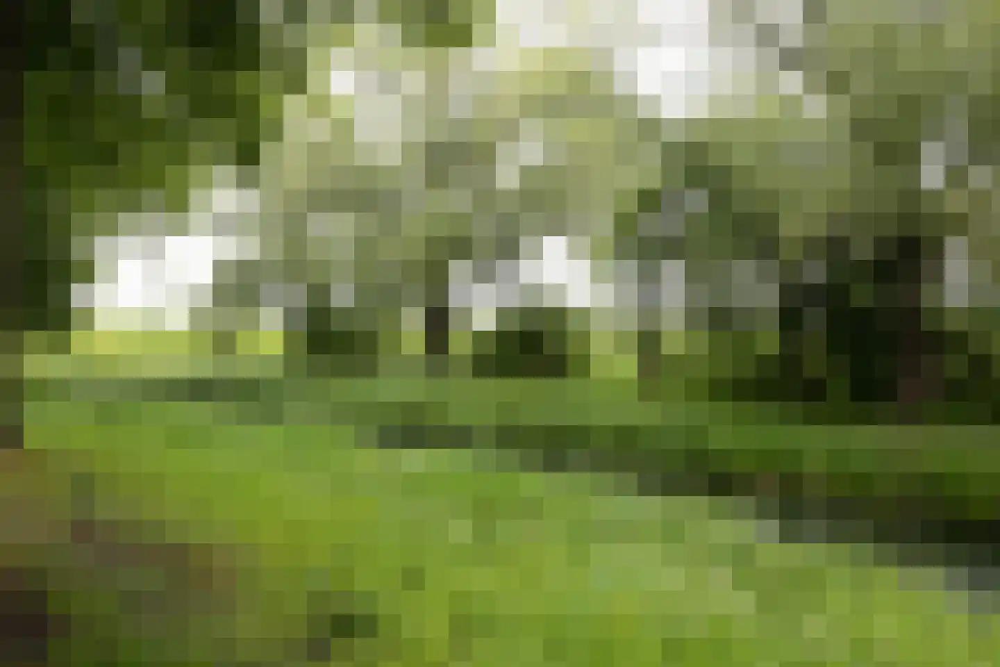 Hollewand 83 Hattem thumbnail 46