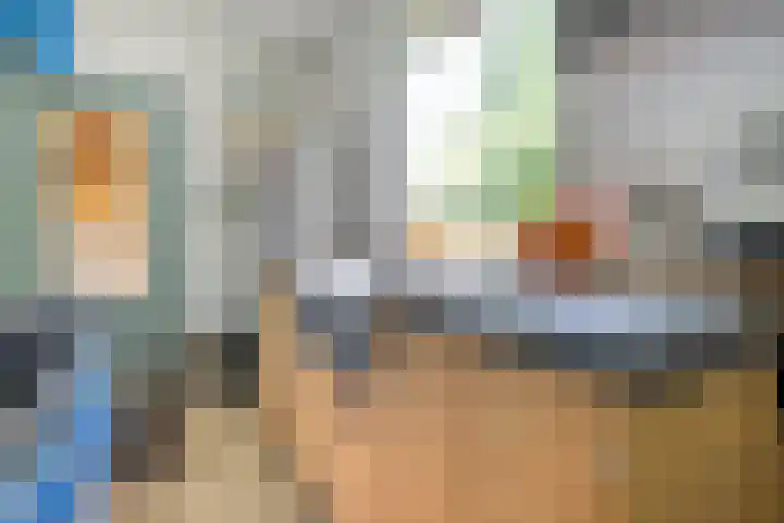 Hollewandsweg 13 Zwolle thumbnail 11