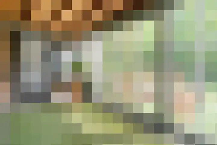 Hollewandsweg 13 Zwolle thumbnail 13