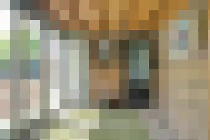 Hollewandsweg 13 Zwolle thumbnail 14