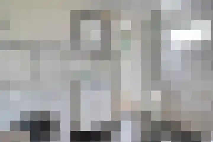 Hollewandsweg 13 Zwolle thumbnail 18