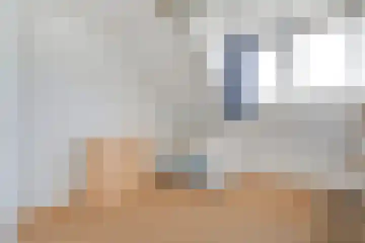 Hollewandsweg 13 Zwolle thumbnail 23