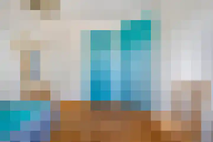 Hollewandsweg 13 Zwolle thumbnail 28