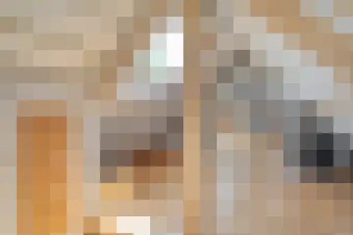 Hollewandsweg 13 Zwolle thumbnail 31
