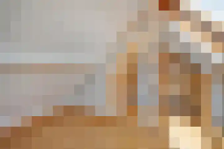 Hollewandsweg 13 Zwolle thumbnail 32