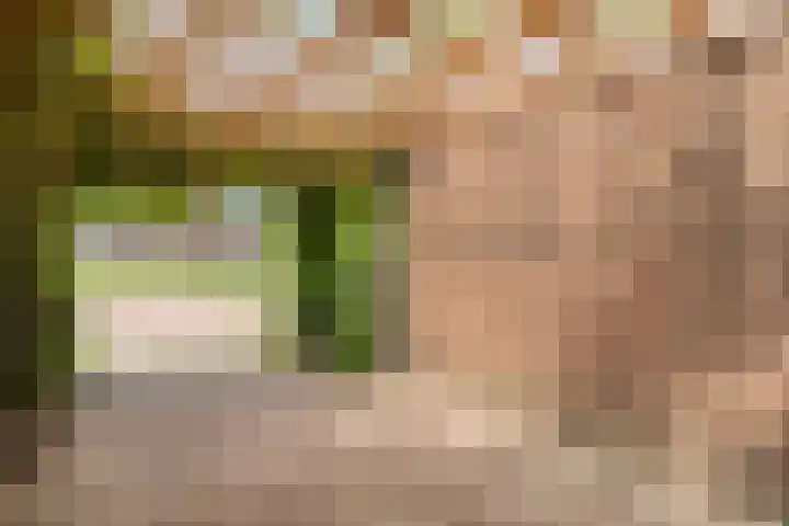 Hollewandsweg 13 Zwolle thumbnail 33