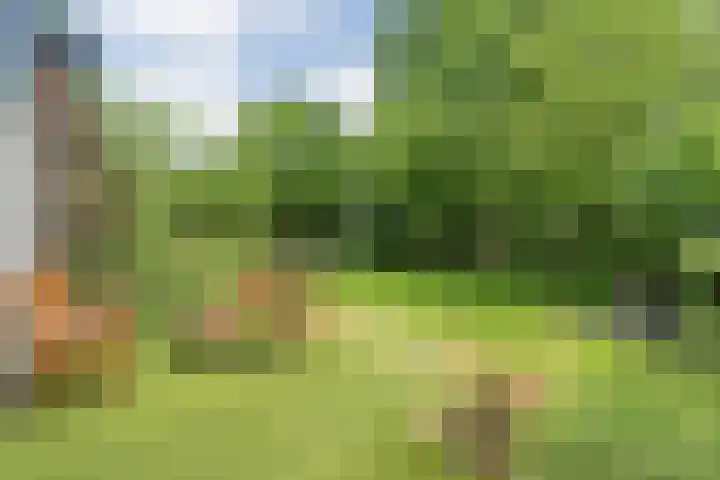 Hollewandsweg 13 Zwolle thumbnail 34
