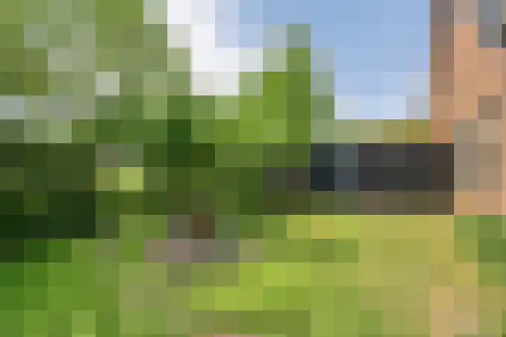 Hollewandsweg 13 Zwolle thumbnail 35