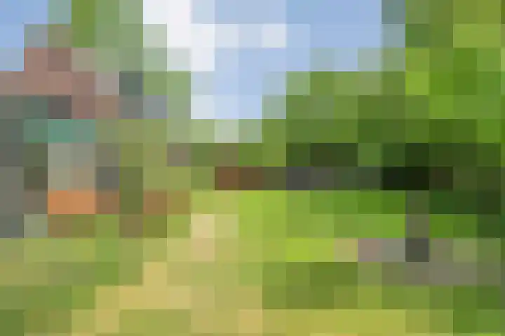 Hollewandsweg 13 Zwolle thumbnail 37