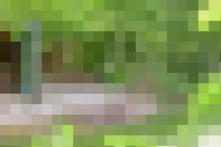 Hollewandsweg 13 Zwolle thumbnail 38